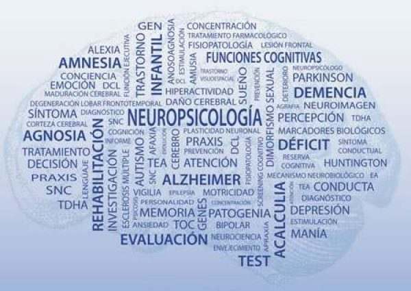 Você sabe o que é neuropsicologia?